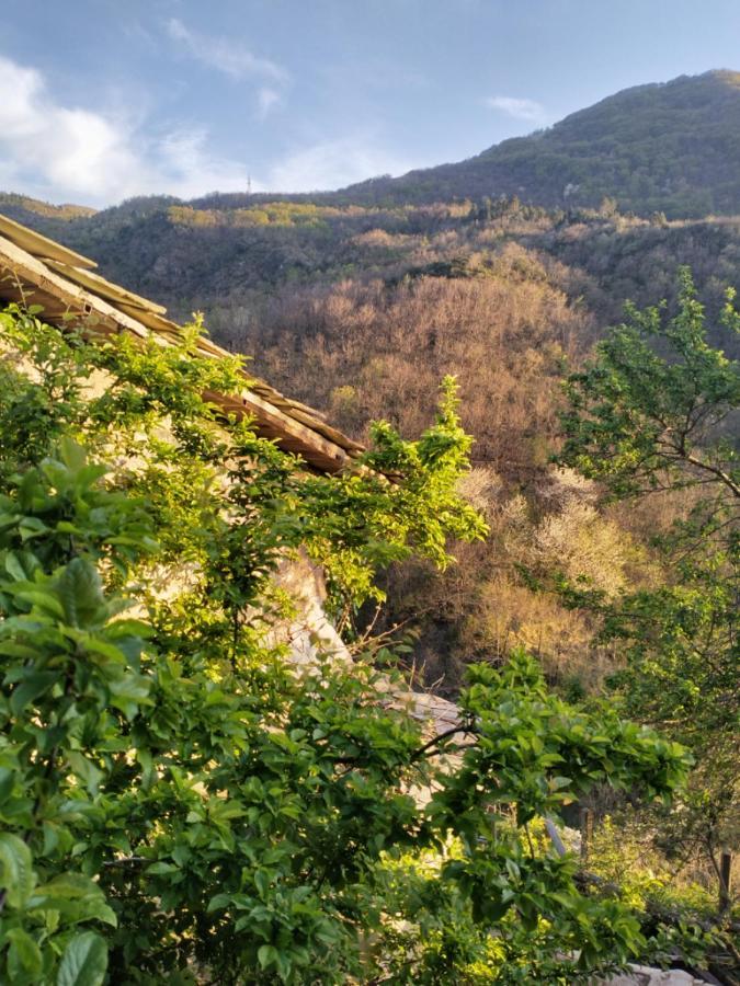 Medieval Village B&B Ne Bagian luar foto